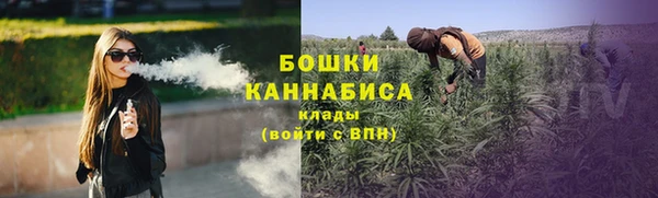 сатива Болохово
