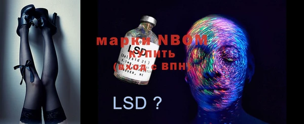 мяу мяу мука Инта