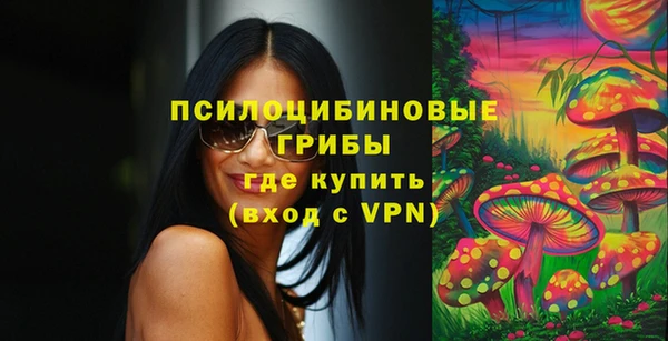 соль курить ск Инсар