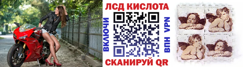 МЕГА сайт  Каменногорск  Марки NBOMe 1500мкг 