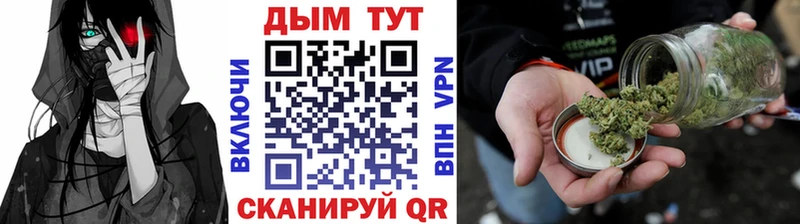 где найти   Каменногорск  Шишки марихуана планчик 